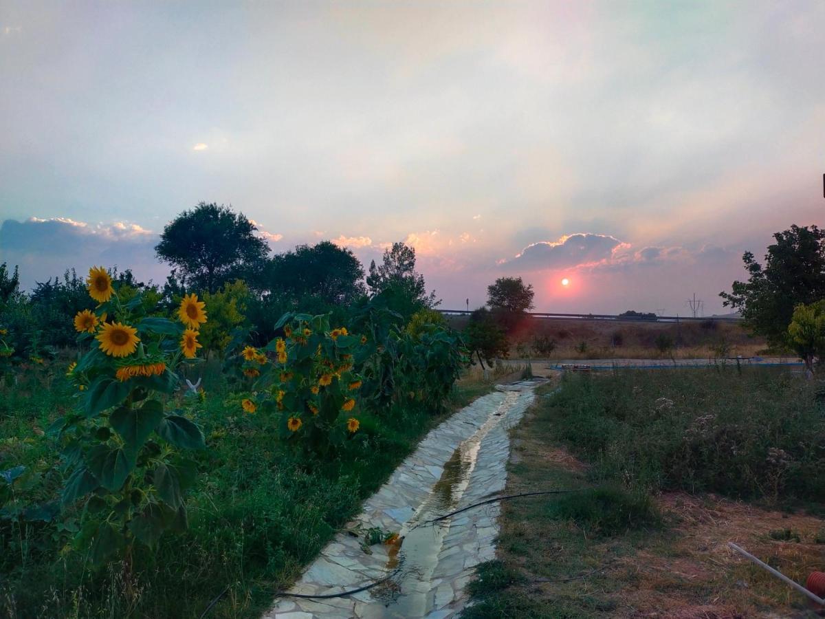 Era 124 Daire Zafra de Záncara Dış mekan fotoğraf