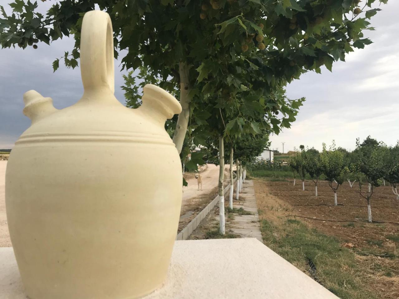 Era 124 Daire Zafra de Záncara Dış mekan fotoğraf